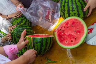 17年吃瓜视频,那些年我们一起“吃瓜”的日子