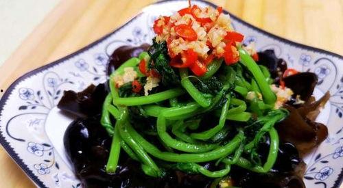 茼蒿妈吃的瓜是什么瓜