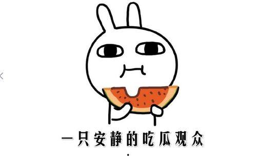 吃瓜节目串词,揭秘娱乐圈的酸甜苦辣