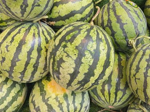 台州吃瓜温岭,探寻温岭美食风情