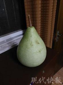 盐城最近吃瓜,最新街头八卦大揭秘