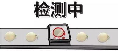 吃瓜必备问题,吃瓜必备的十大热点问题全解析