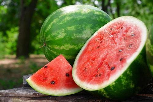 止咳瓜怎么吃,止咳瓜的多样食用方法与营养解析