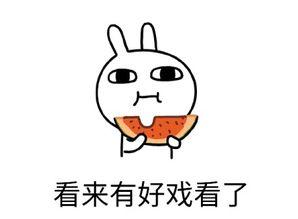 专注吃瓜的大哥,揭秘专注吃瓜的大哥背后的故事