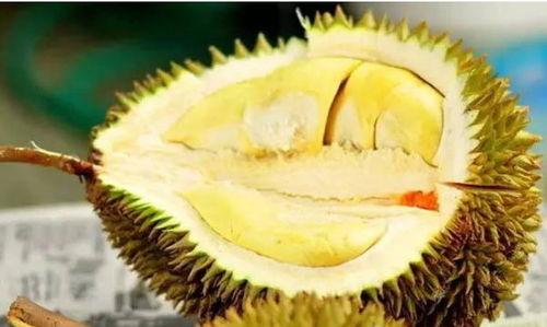 坐月子吃网纹瓜,网纹瓜助力产后恢复，营养美味两不误