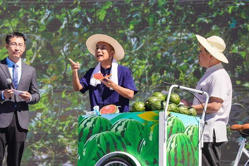 吃瓜观众代表,吃瓜群众视角下的娱乐圈风云录