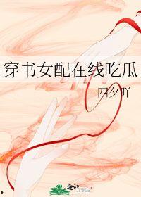 穿书吃瓜日记,一场奇幻与现实交织的冒险之旅