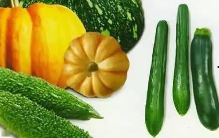 贵大杨老吃瓜,揭秘贵州大学校园里的那些趣事