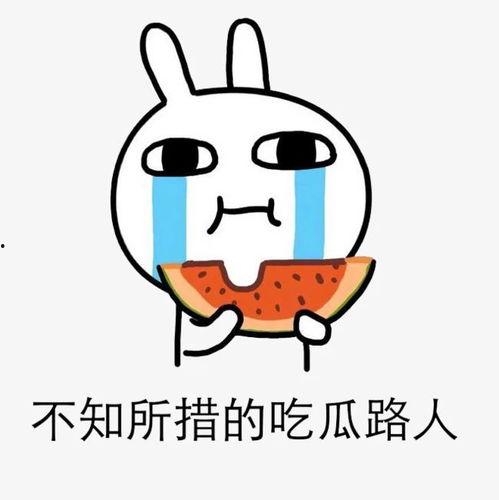 劝架吃瓜,见证人间百态的温馨瞬间