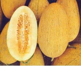 吃哈密瓜会掉头发吗,揭秘吃哈密瓜是否会引发掉发