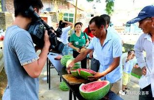 麻栗坡吃瓜群众,吃瓜群众的夏日狂欢